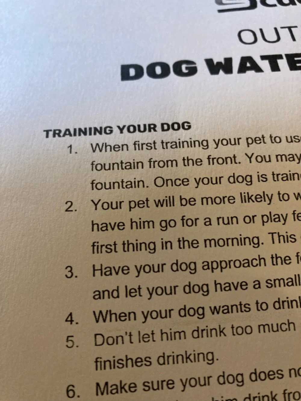 Scuddles dog fountain/water fountain